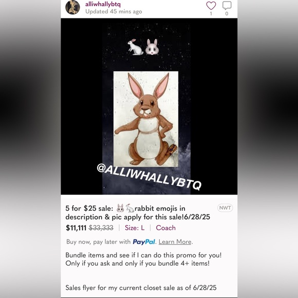 Share show listing :) please like to be notified! - Picture 3 of 3